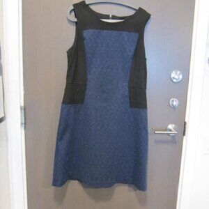Ann Taylor Two-Tone Sleeveless A-Line Dress